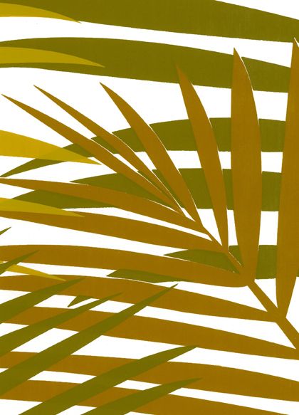 palm wallpaper. designer-wallpaper-palm-